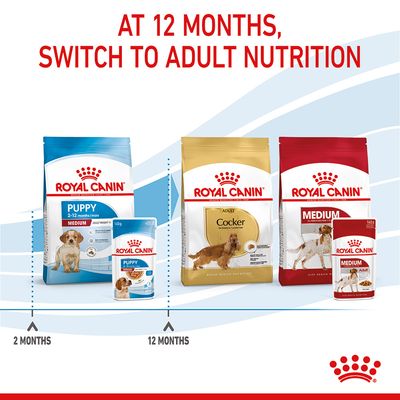 Royal Canin Medium Puppy in Gravy