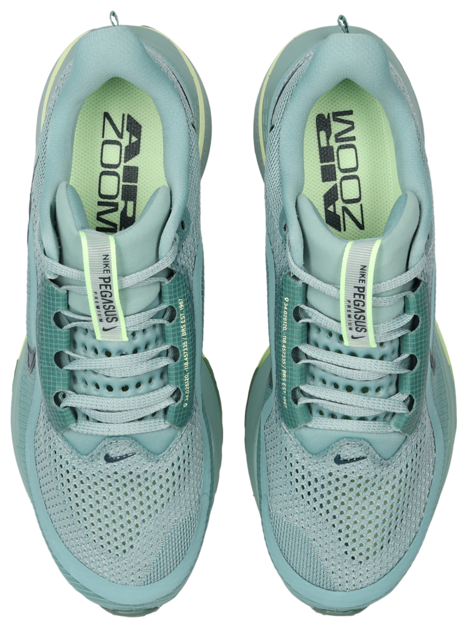 Nike Pegasus Premium