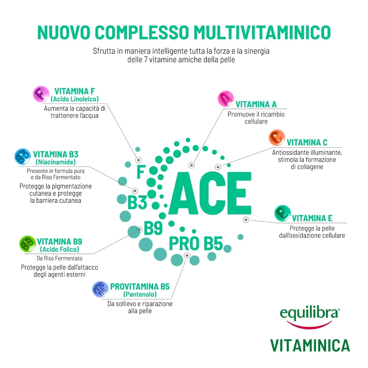 EQUILIBRA Equilibra Gezichtsherstellende Vitamine Ampullen 7x2,5 ml Voor een gezonde gezichtshuid