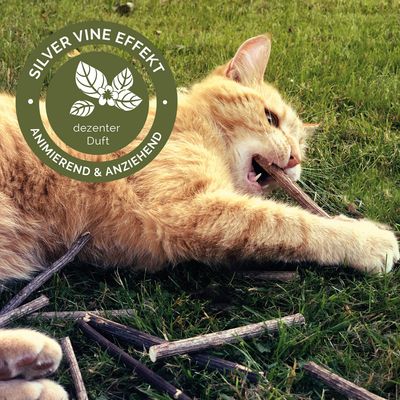 Bastoncini per gatti Aumüller Silver Vine