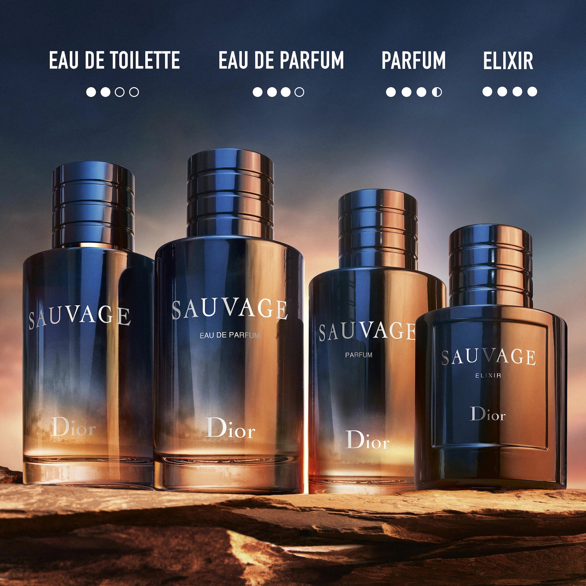 Sauvage parfemska voda 100 ml - DIOR