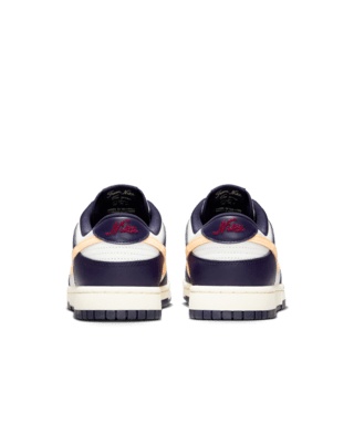 Nike Dunk Low Retro Men's Shoes