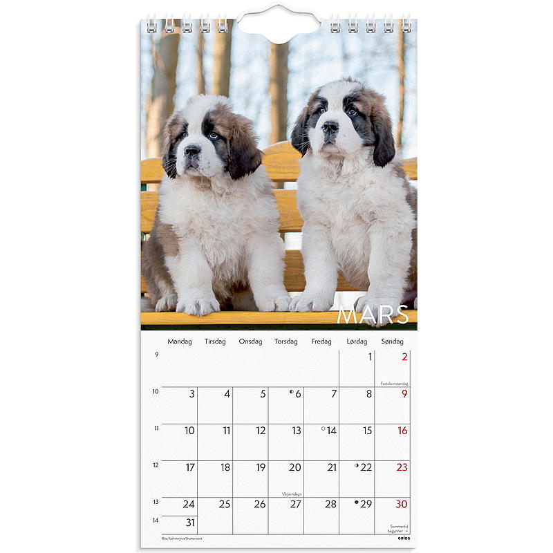 Mini veggkalender hunder 2025