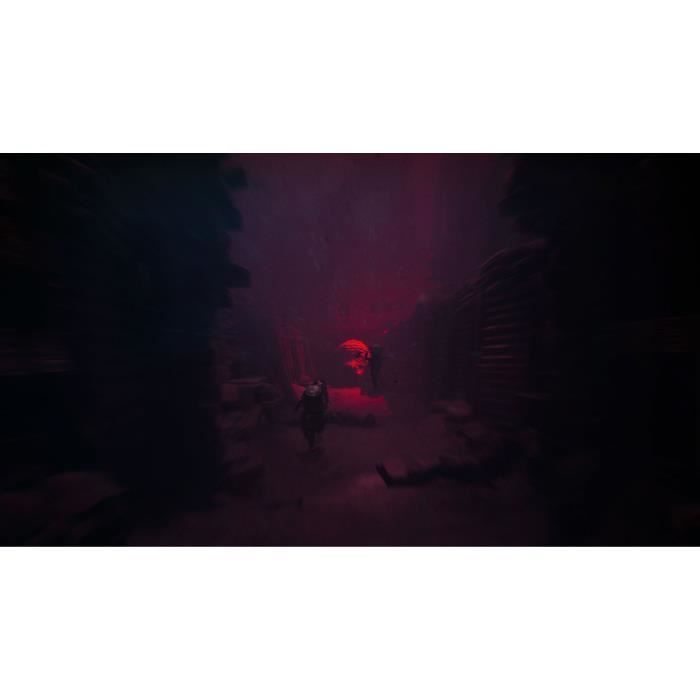 Reanimal - Jeu PS5