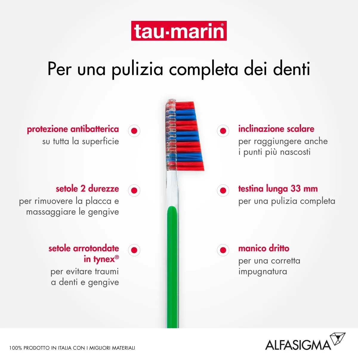 ALFASIGMA TAU MARIN Brosse à dents Taumarine Scal33 Du Antib Brosse à dents à poils durs
