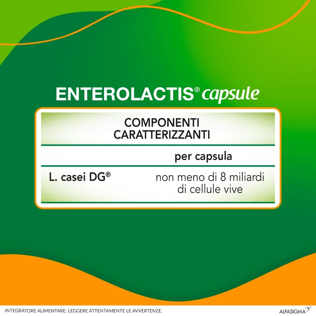 ENTEROLACTIS Enterolactis 20 capsules 300 mg Voedingssupplement met melkzuurfermenten voor volwassenen Probiotische werking