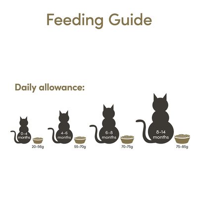 Cibo per gattini Applaws