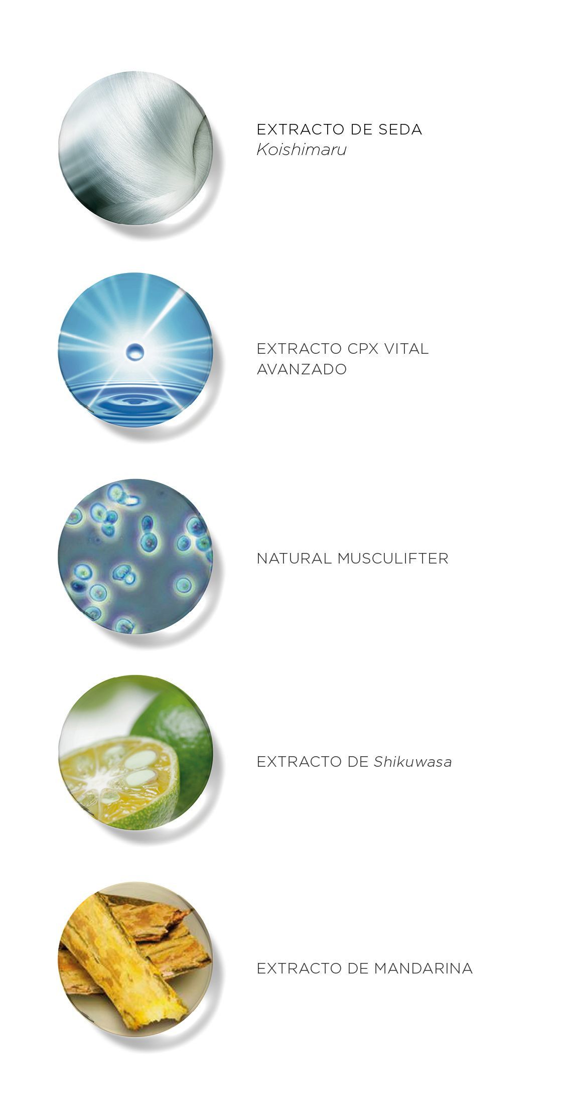 Cellular Performance Lifting Essence pretnovecošanās līdzeklis Luksusa līdzeklis pret grumbām un novecošanos