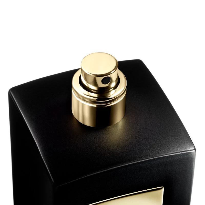 Cuir Noir EdP 100 ml - Armani Privé