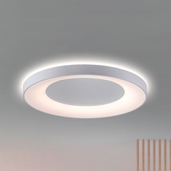 LED-Deckenleuchte Erika