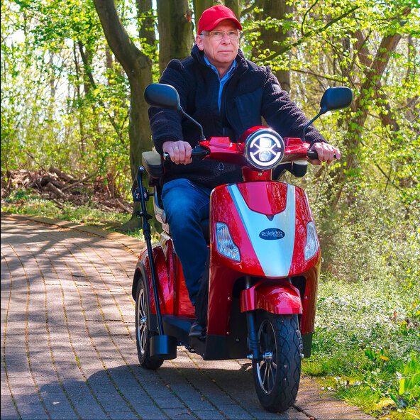 Vehicul electric E-Trike 15 V.3