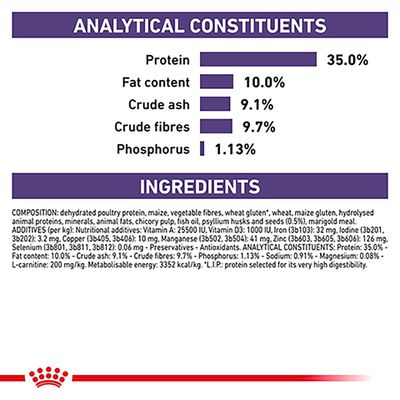 Royal Canin Expert Feline - Équilibre de satiété pour chats castrés