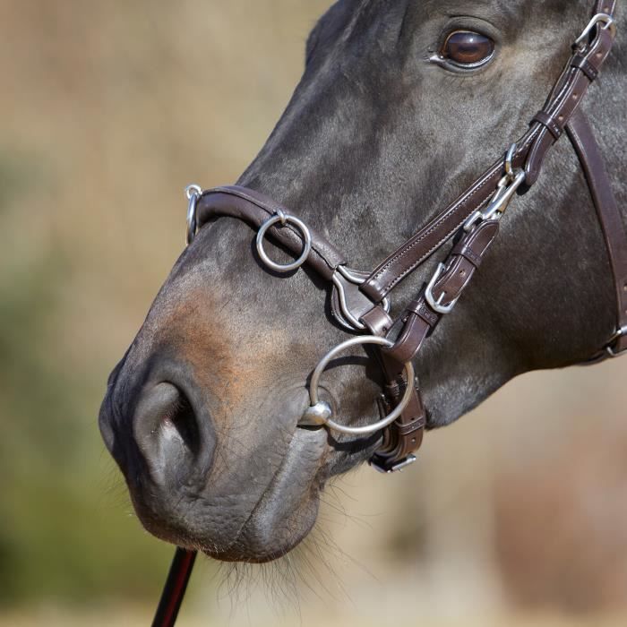 Kieffer Ultrasoft® cavesson for lungeing horses - Brown - Full