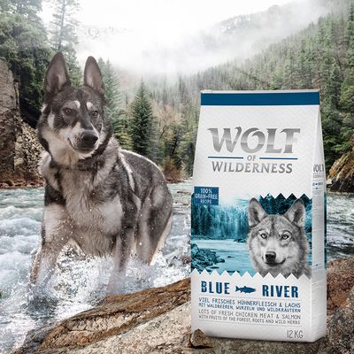 Wolf of Wilderness torrfoder för hundar provpaket