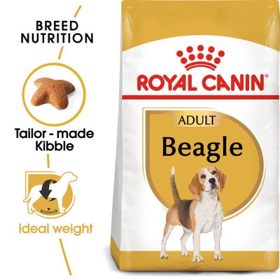 Royal Canin Beagle Volwassen