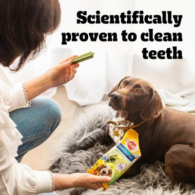 Pedigree Dentastix Fresh - Tägliche Zahnpflege für mittelgroße Hunde (10-25 kg)
