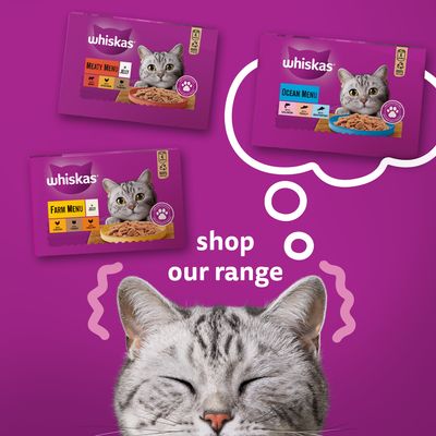 Whiskas 1+ Dosen-Sparpackung 24 x 400 g
