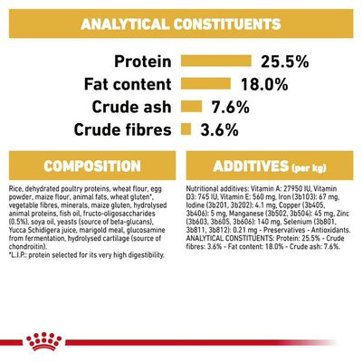 Royal Canin Dalmatiner Welpe