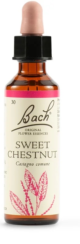 SCHWABE Schwabe Bachblüten 30 Edelkastanientropfen 20 ml