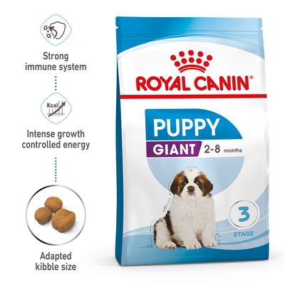Chiot géant Royal Canin
