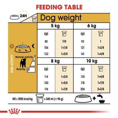 Royal Canin Jack Russell Terrier adulto
