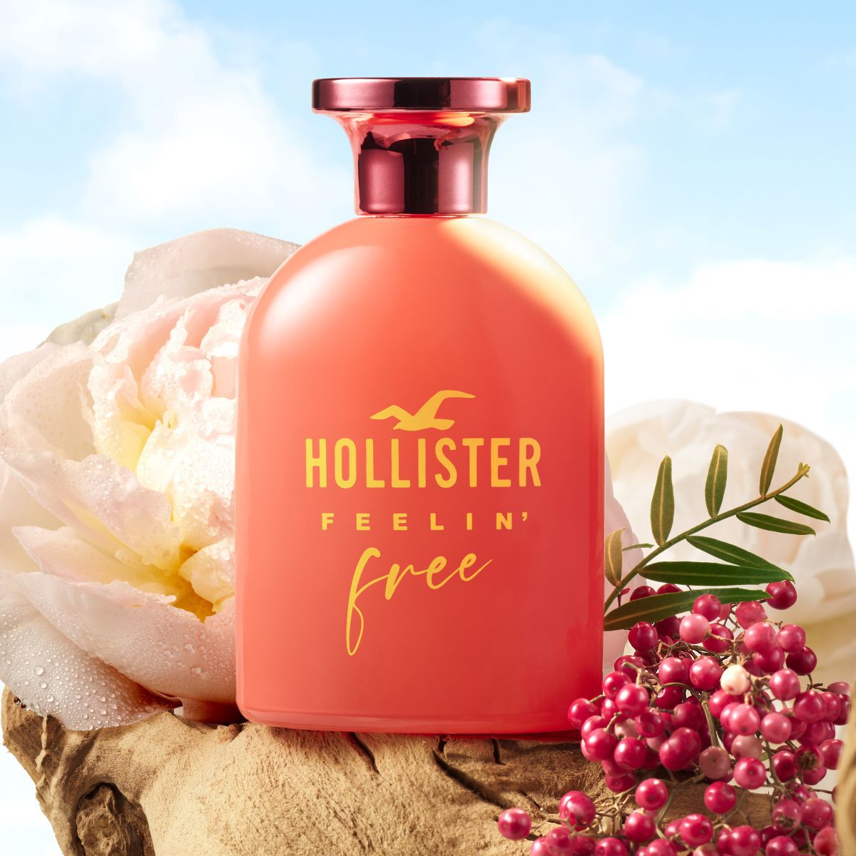 Hollister jūtas brīvi