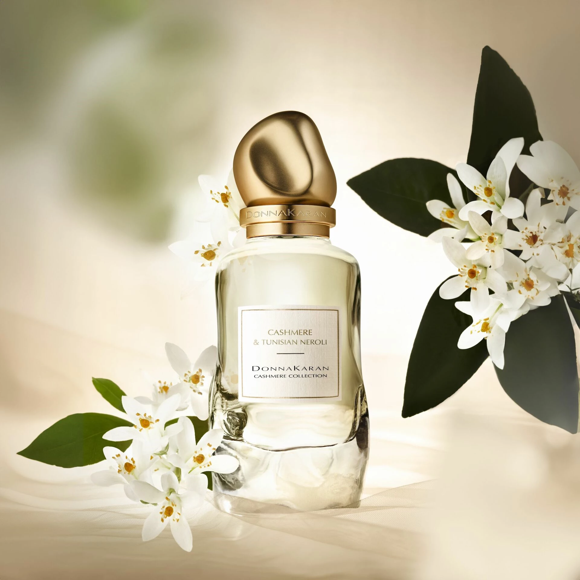 Kašmir i tuniski neroli, parfemska voda 100 ml - DKNY