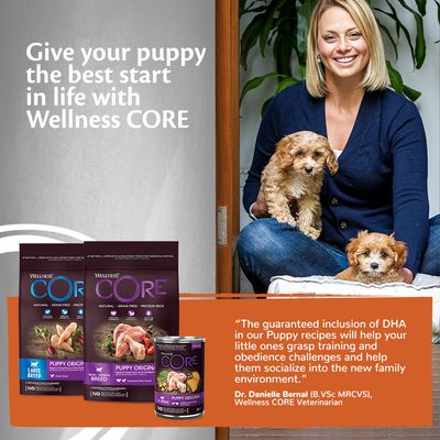 Nourriture humide pour chiots Wellness Core Original pour toutes races, au poulet et à la dinde