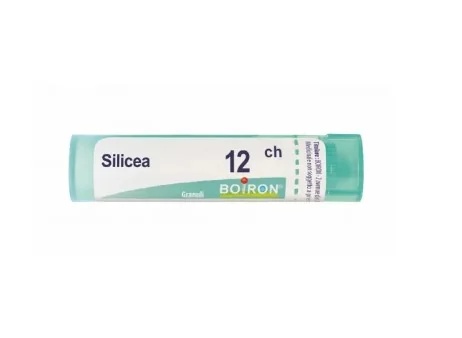 BOIRON Boiron Silicea 12 CH Granulat Tube Homöopathisches Arzneimittel