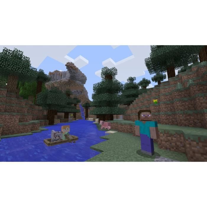 Minecraft • Jeu Nintendo Switch