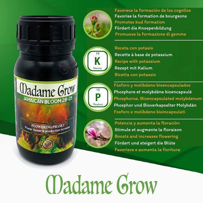 MADAME GROW - Basic growth kit for the nutrition and flowering of healthy plants with natural fertilizers (3x250 ml).