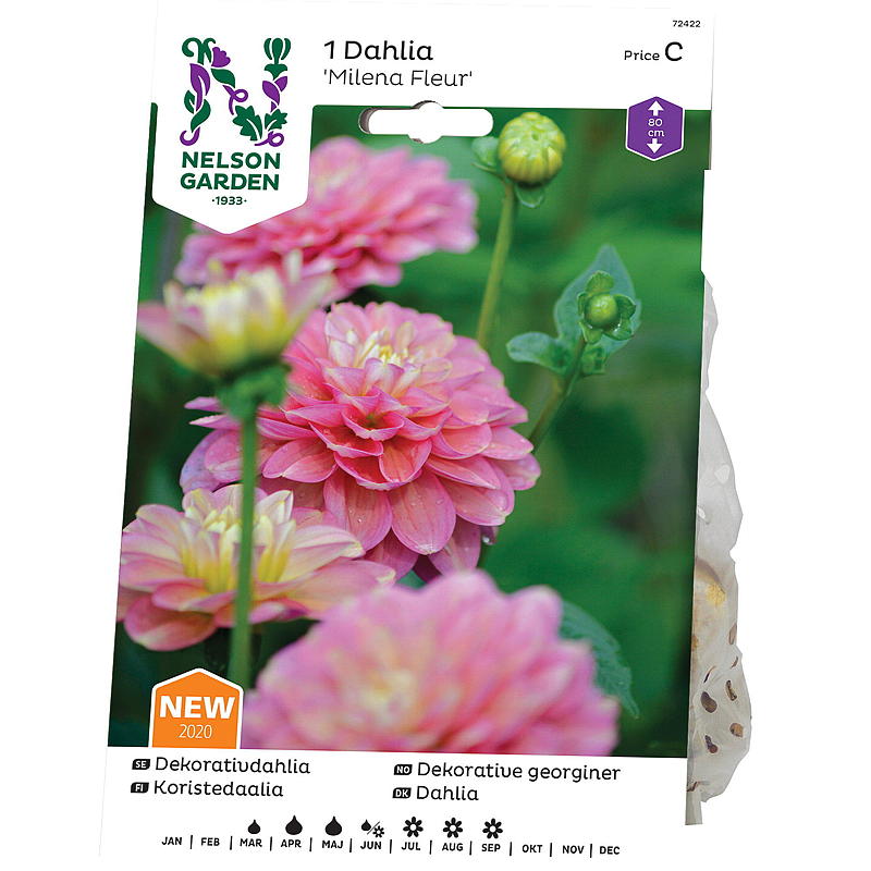 Nelson have Dahlia Høj dekoration Milena fleur, lyserød gul