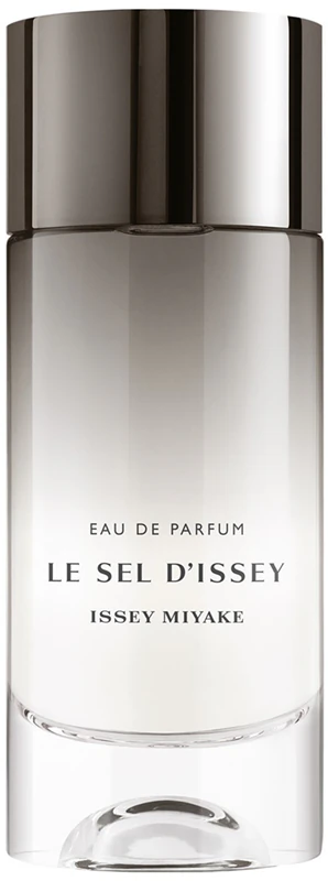 Issey Miyake Le Sel d'Issey parfémovaná voda pro muže