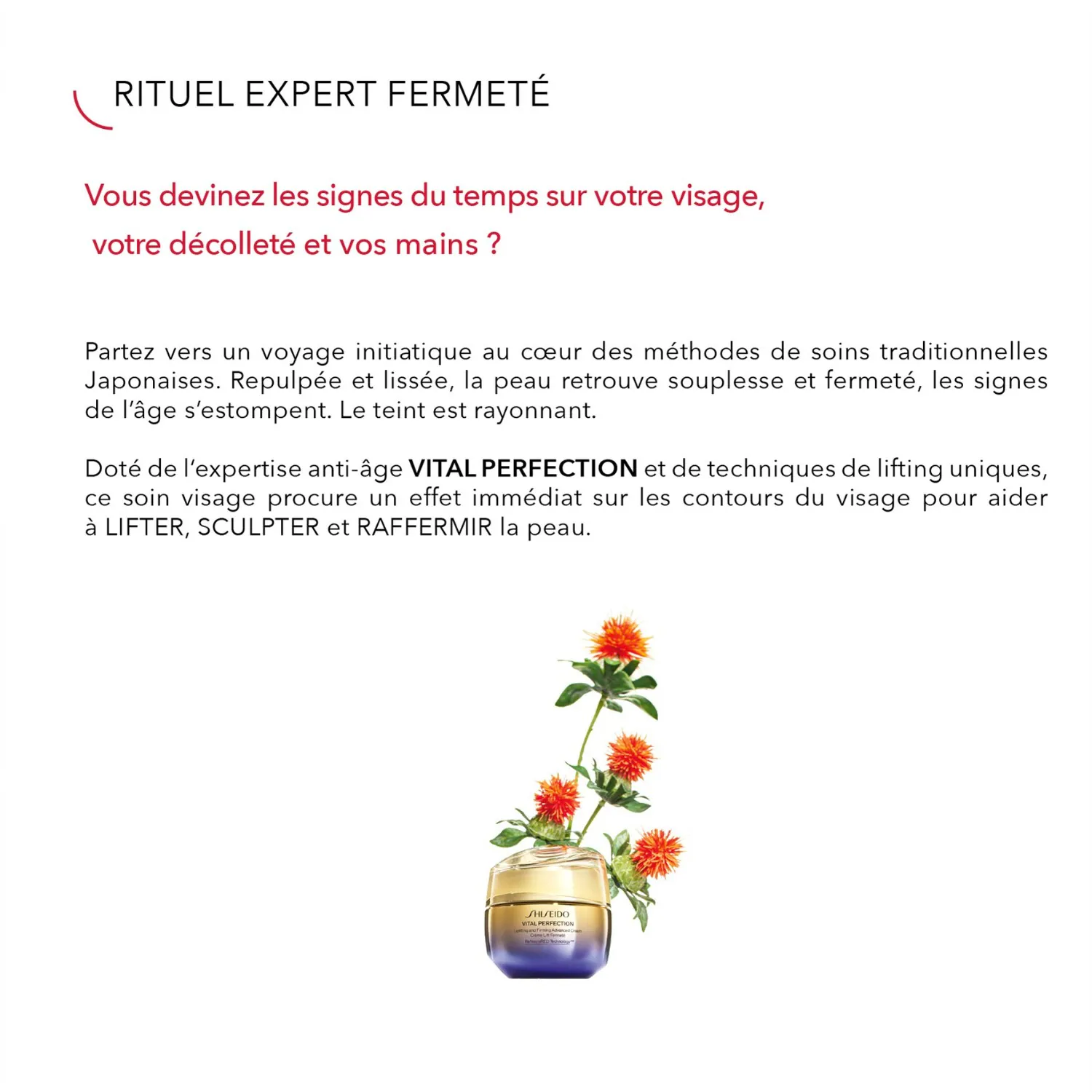 Shiseido Coffret Cadeau SHISEIDO