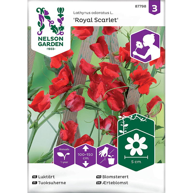 Nelson garden frø Ærteblomst Royal Scarlet, rød