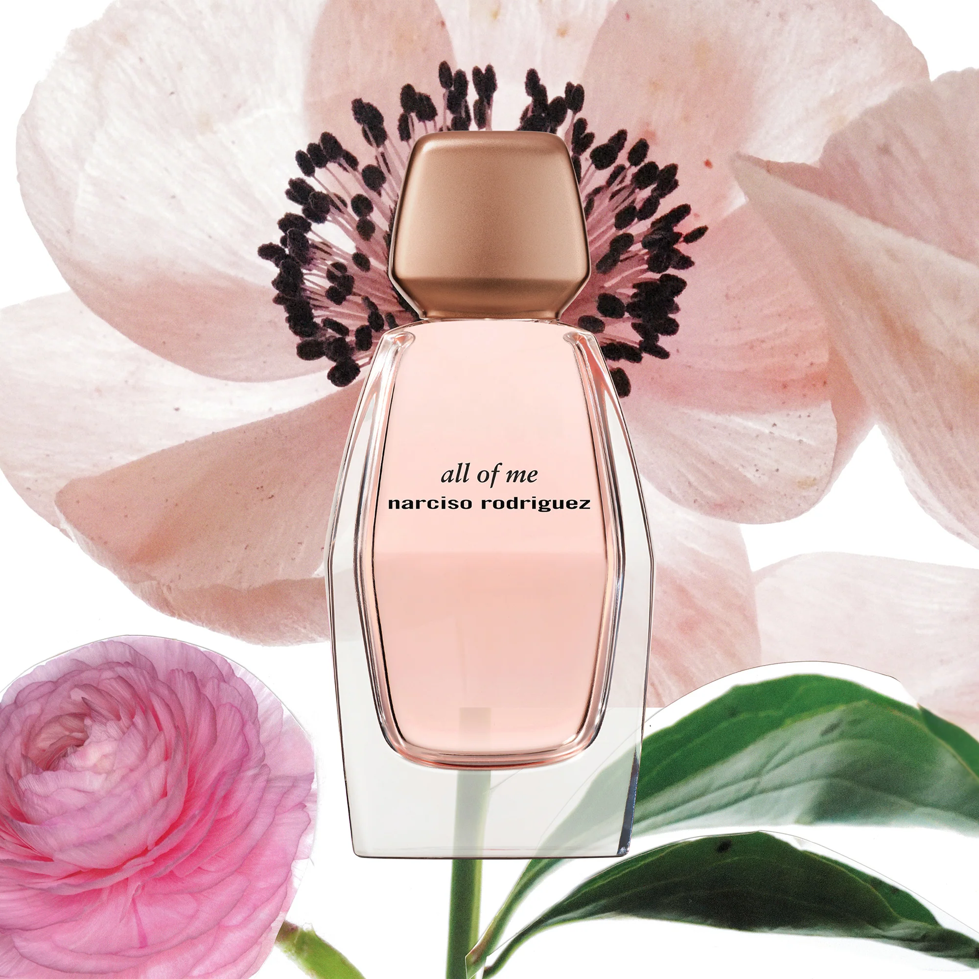 all of me Cofanetto all of me Eau de Parfum - Cofanetto Profumo Donna, Eau de Parfum