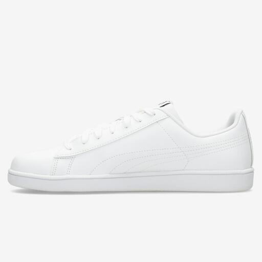 Puma Sus