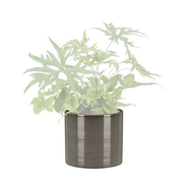 Ghiveci de flori din ceramică, set de 3, Ø 16 cm, sticlă gri