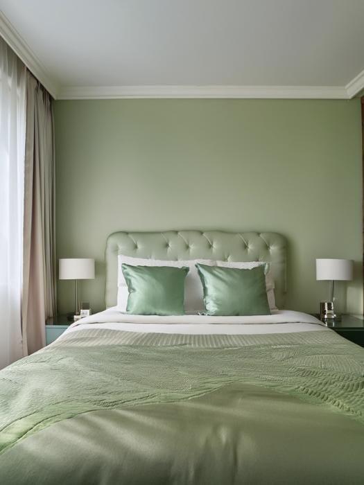 Funda de almohada de seda de morera - Verde salvia - Dimensiones 65x65cm - Suave al tacto - Antiácaros y antibacteriana