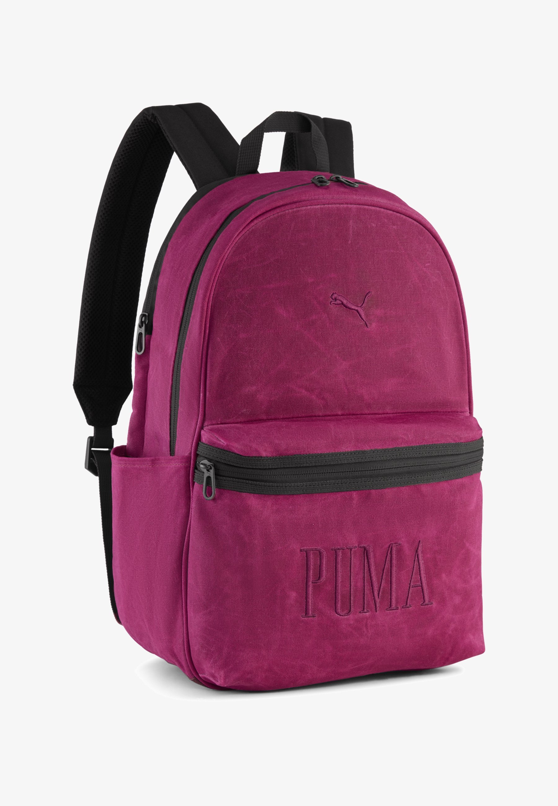 Puma ESSENTIALS CLASS OF 48 20 L - Rugzak - robijnrood glinsterend