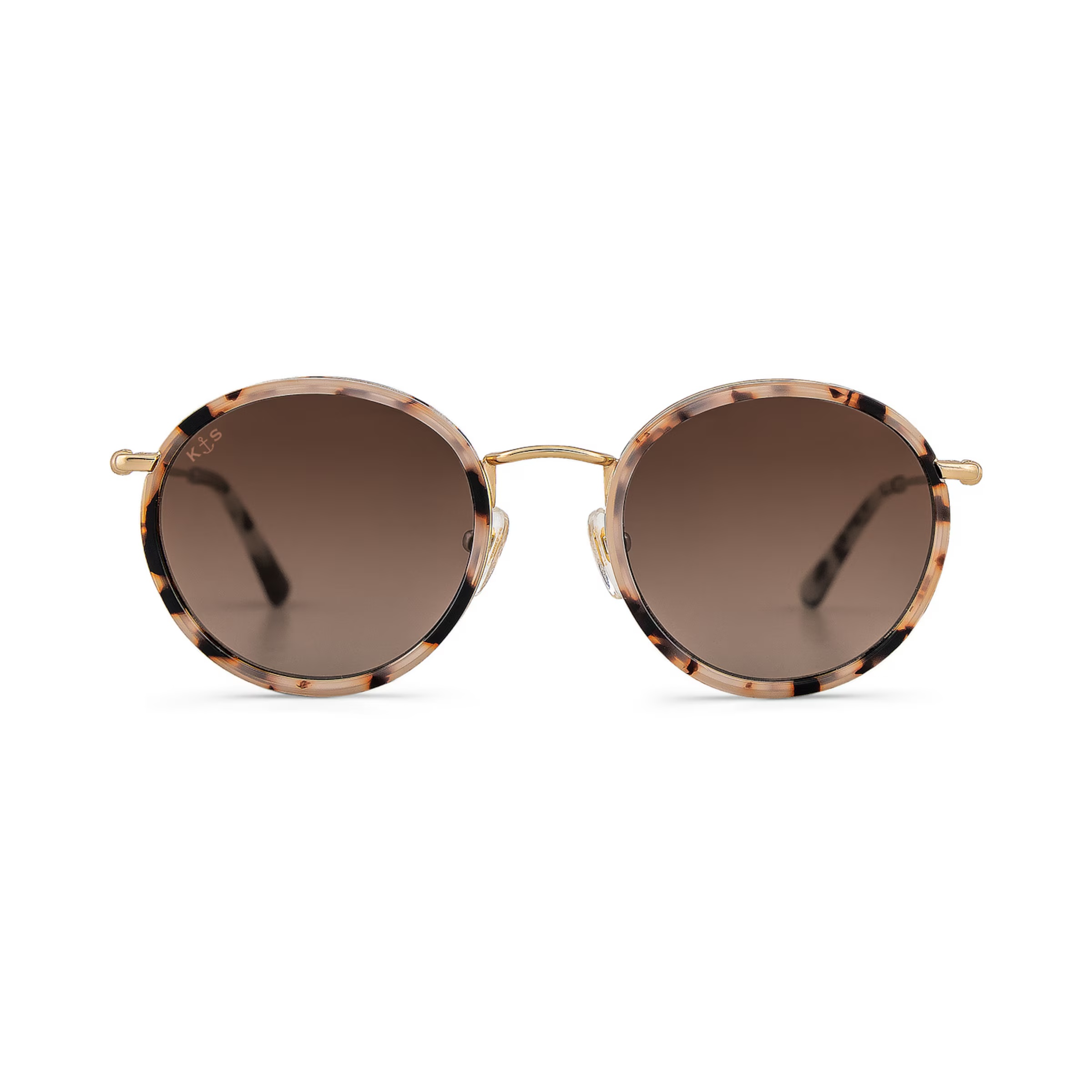 Tortue des sables d'Amsterdam brune