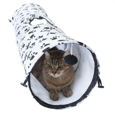 Pawty-Katzentunnel
