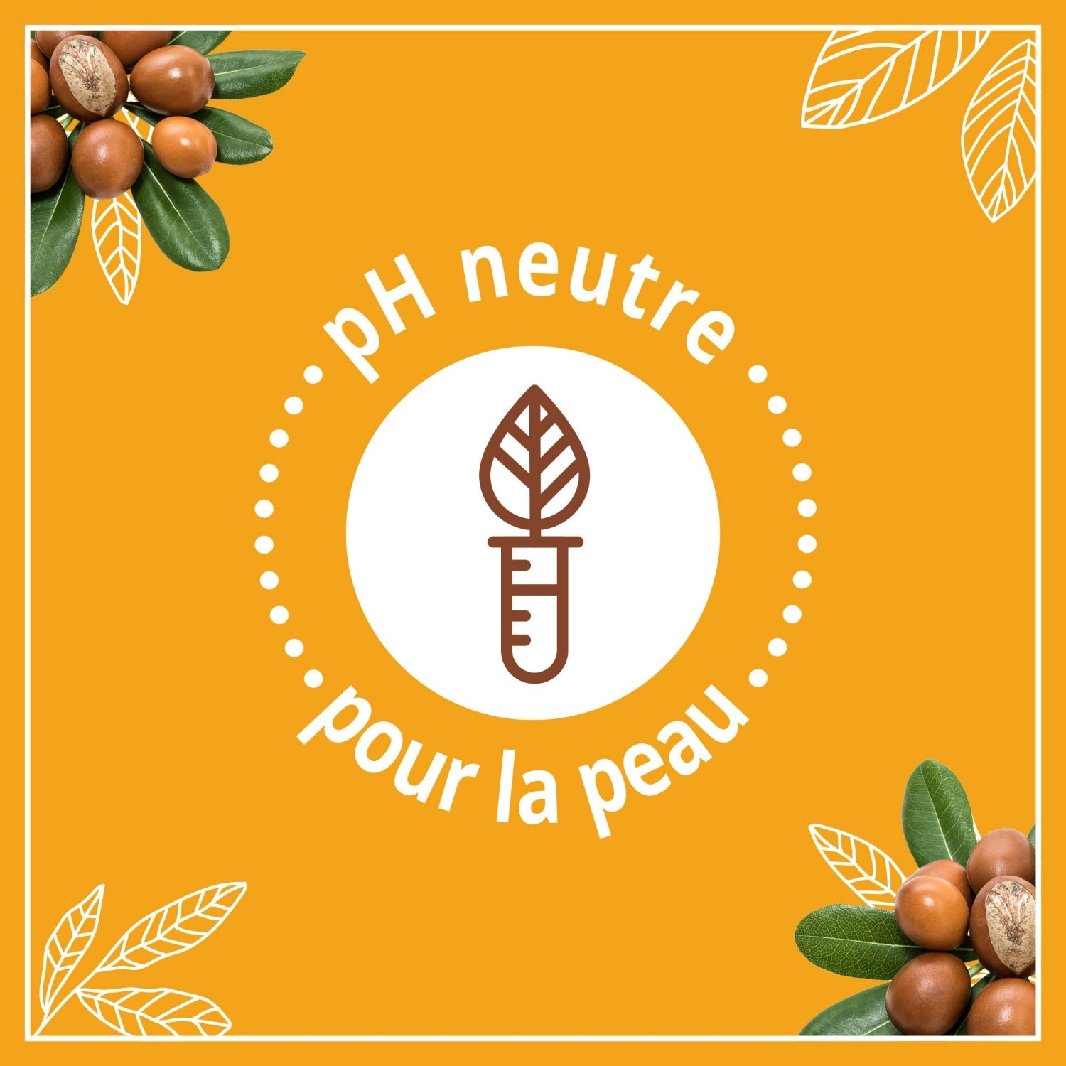 Le Petit Marseillais Lait Corps Hydratant[[,]] Beurre de Karité[[,]]Amande et Huile d'Argan[[,]]