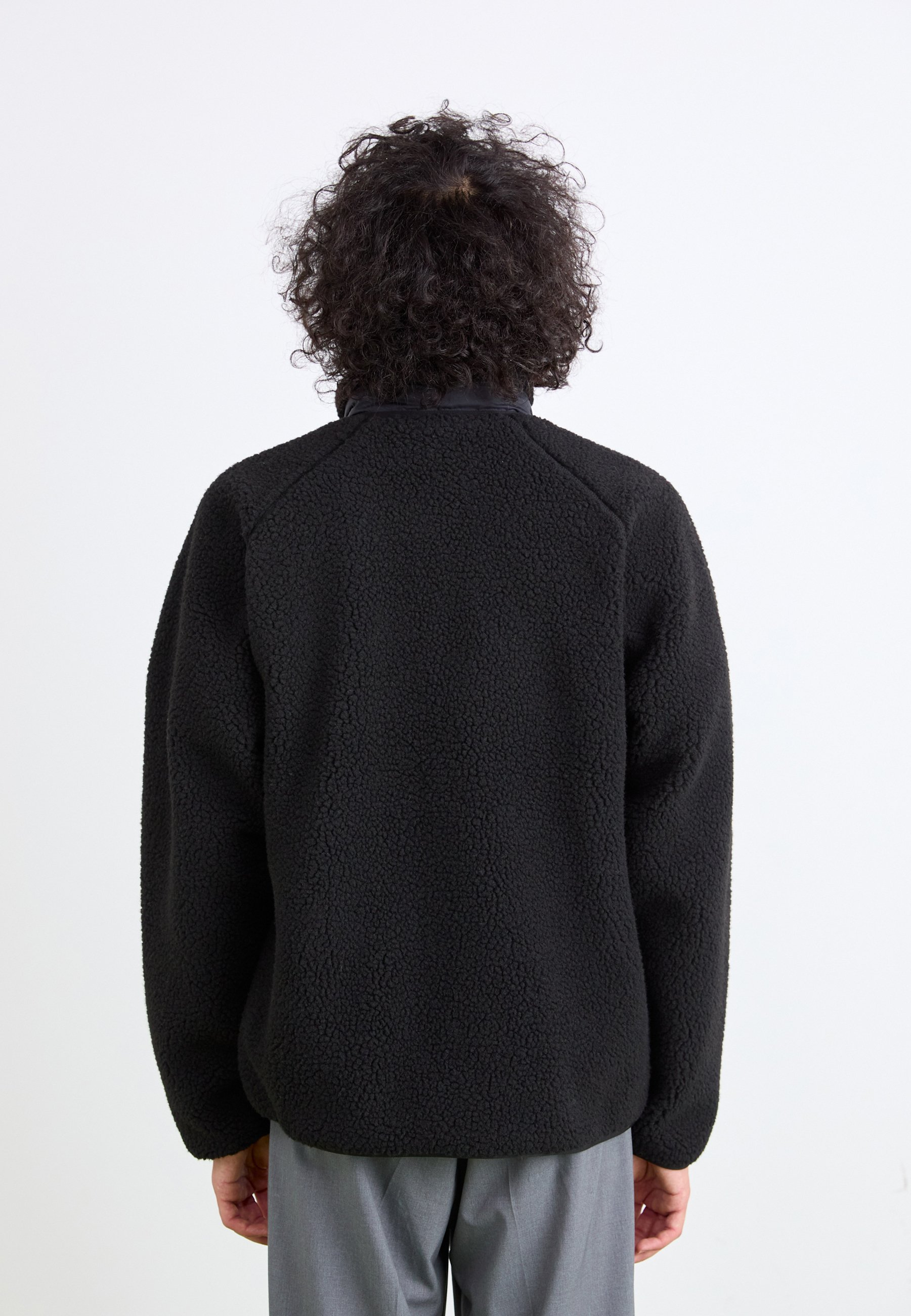 Carhartt WIP PRENTIS LINER - Winterjas - zwart