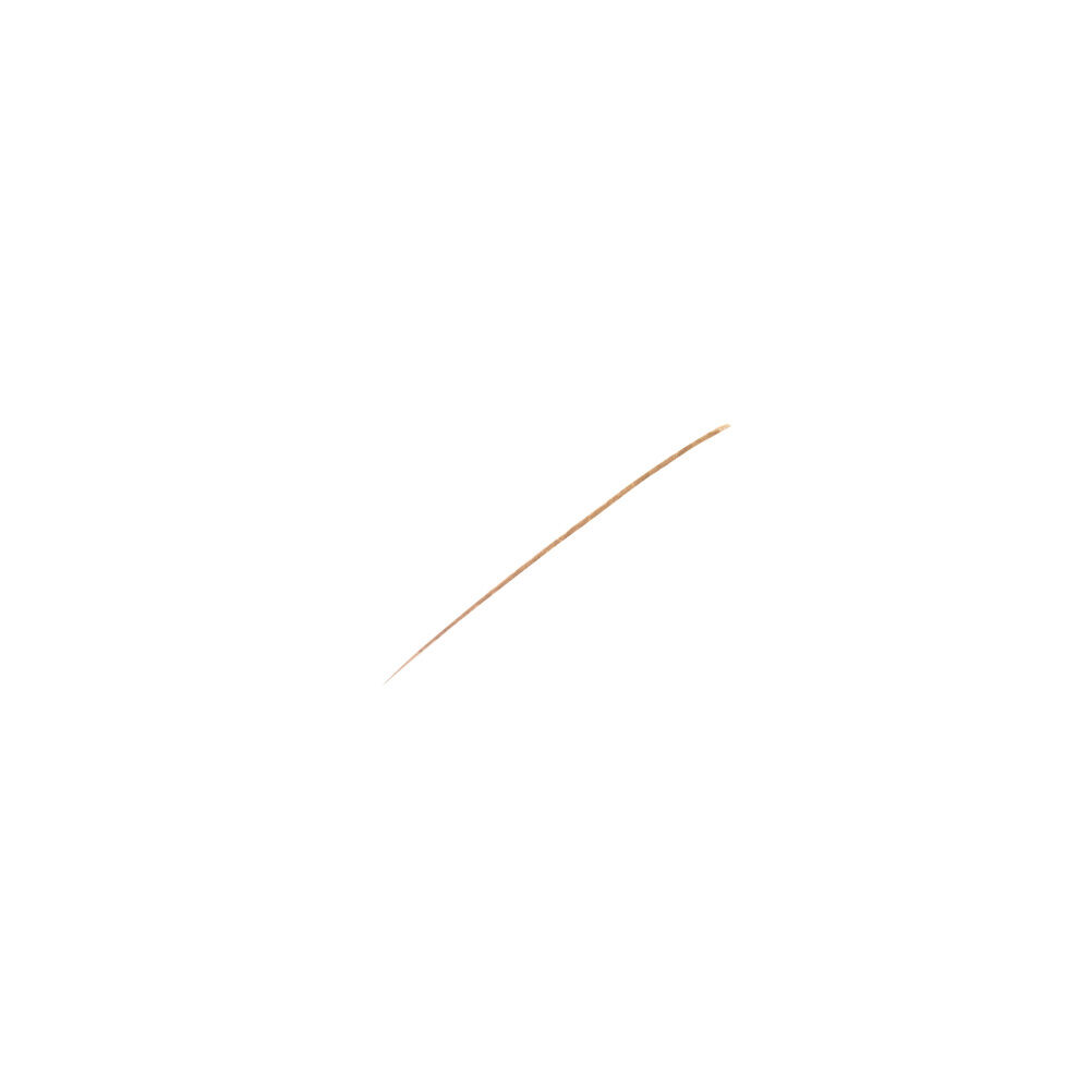 Sisley Phyto-Brows Perfect