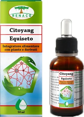 CITOYANG Gouttes de prêle Citoyang 50 ml