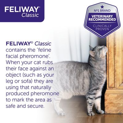 Feliway® Classic Spray