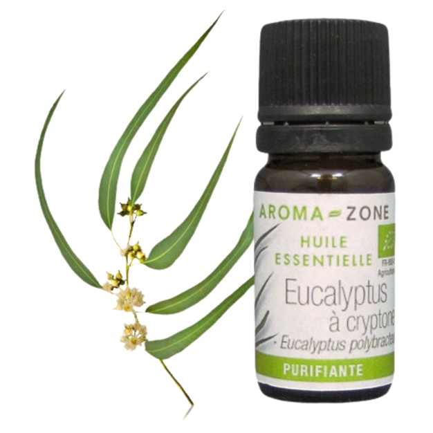 Aceite esencial de eucalipto criptona orgánico