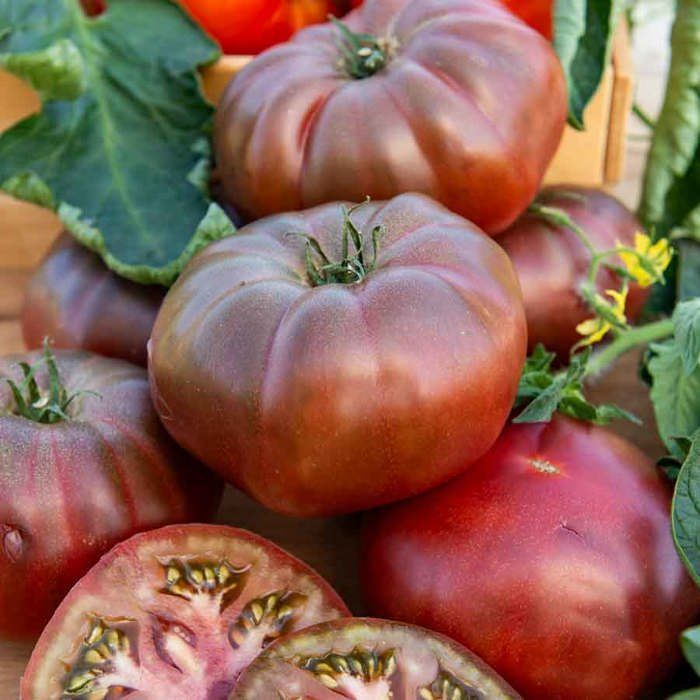 Sementes - Vilmorin - Tomate Black Krim - Legumes Tradicionais