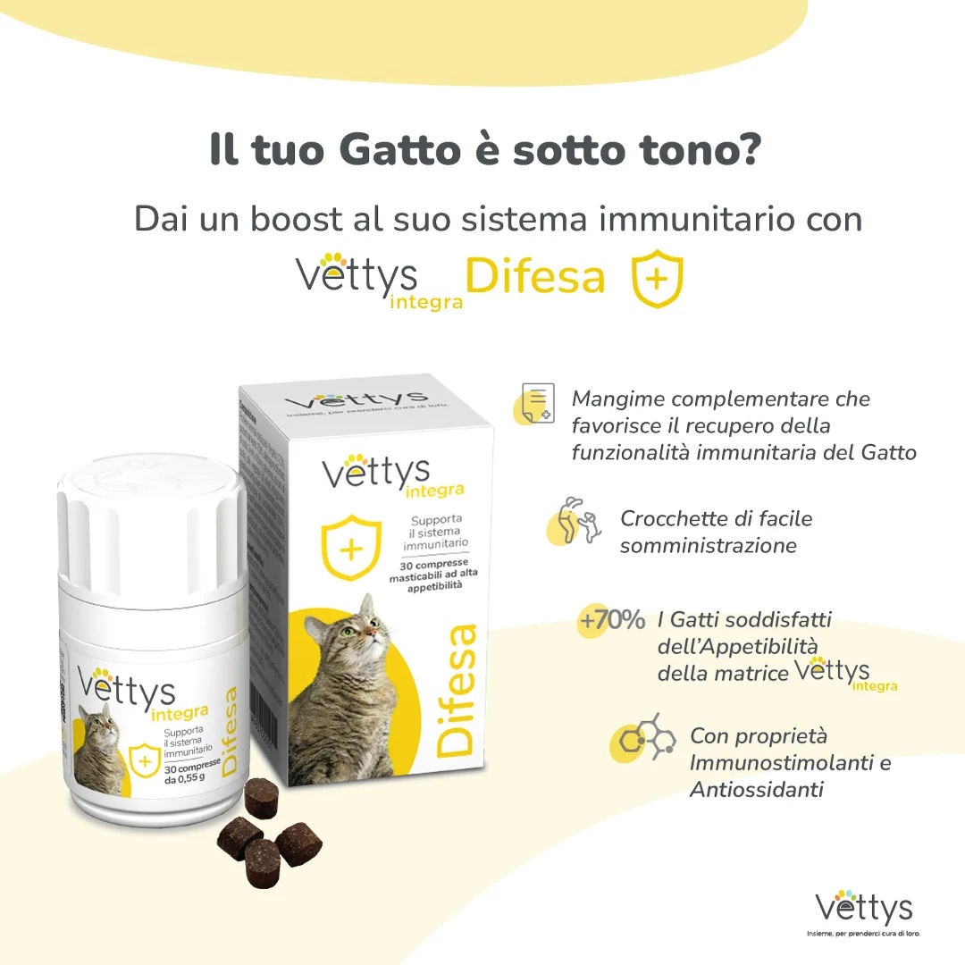 VETTYS Vettys Integra Difesa Gatto 30 comprimidos Sistema Imunológico de Gato